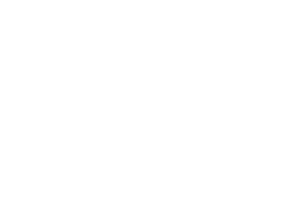 Moodle&trade; Partner